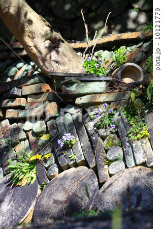 窯垣の小径 窯垣の小径 10121779