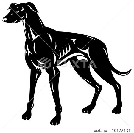 Greyhound Dog Retro 10122131