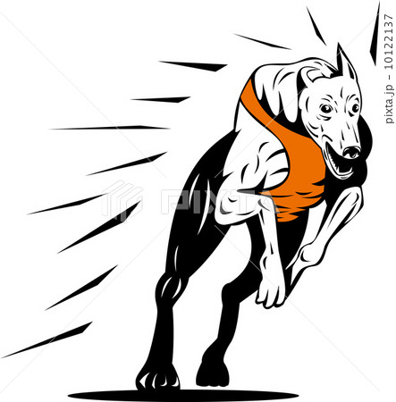 Greyhound Dog Racing Retro 10122137