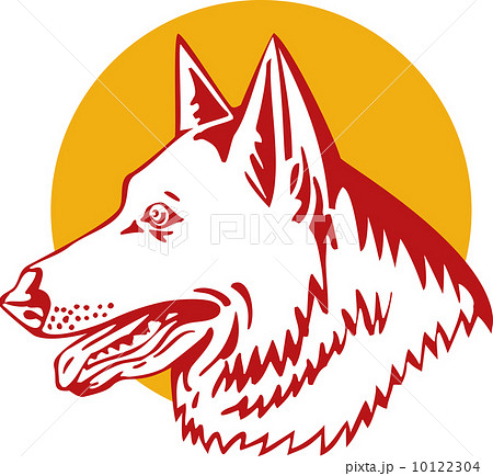 German Shepherd Dog German Shepherd Dog 10122304
