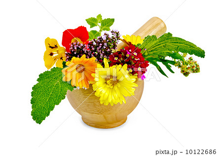 Herbs and flowers in a mortar 10122686
