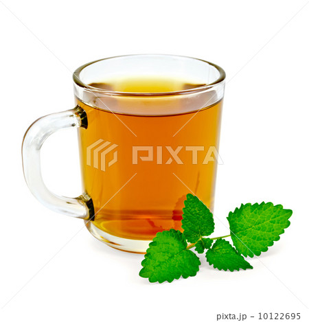 Herbal tea with melissa in a mug Herbal tea with melissa in a mug 10122695