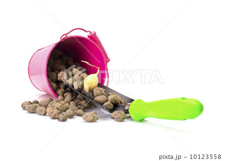 Planting Flowers. Bucket, Shovel, Seeds, Dlay Isolated on White Planting Flowers. Bucket, Shovel, Seeds, Dlay Isolated on White 10123558