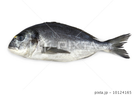 Fresh bream fish isolated 10124165