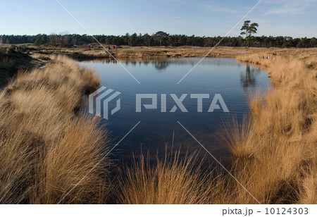 Pond at estate Heidestein (Zeist, the Netherlands) Pond at estate Heidestein (Zeist, the Netherlands) 10124303