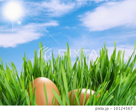 Easter eggs 10124567