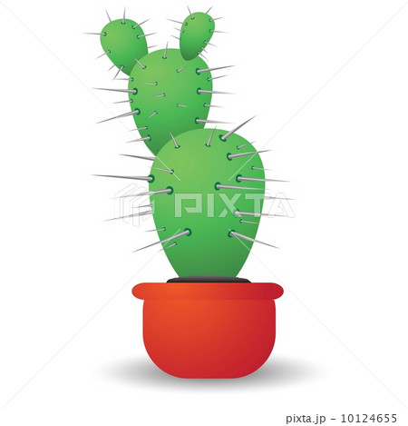 green cactus  isolated on a white background 10124655