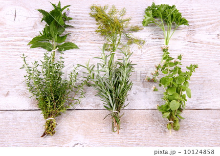 Italian herbs in bundle on white wooden background Italian herbs in bundle on white wooden background 10124858