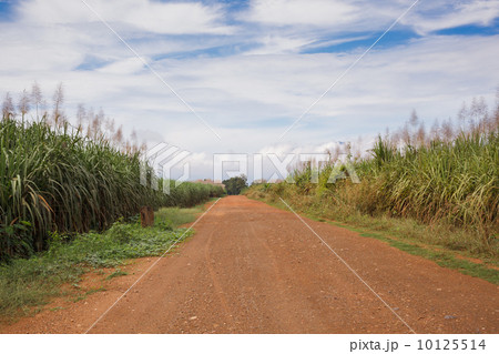 Gravel road in open spaces 10125514