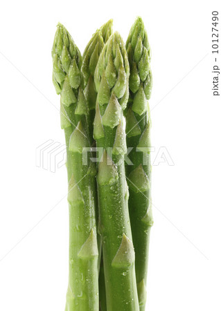 アスパラガス 10127490