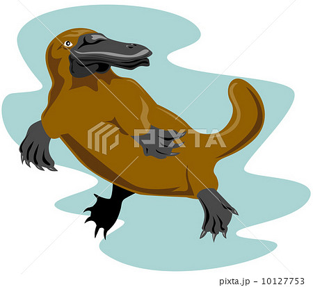 Platypus Front View 10127753