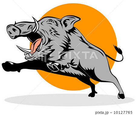 Wild Pig Boar Jumping 10127765