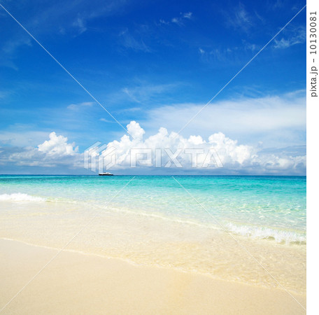 sea sea 10130081