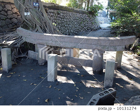 桜島の黒神埋没鳥居 10131274