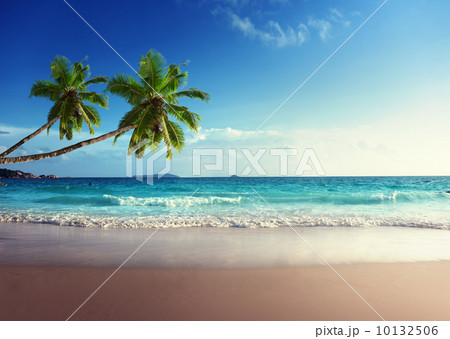 sunset on Seychelles beach 10132506