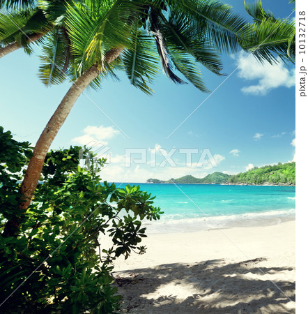 beach, Mahe island, Seychelles beach, Mahe island, Seychelles 10132718