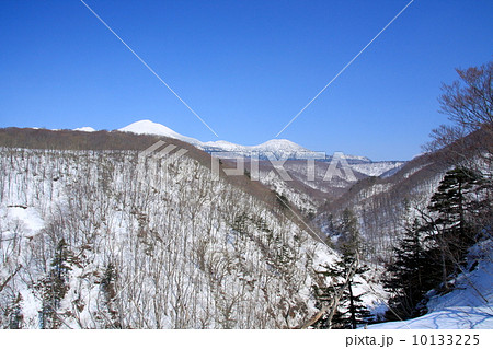 早春の城ヶ倉渓谷 早春の城ヶ倉渓谷 10133225