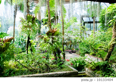 服部緑地都市緑化植物園 服部緑地都市緑化植物園 10133404