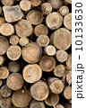 木材　木　丸太 10133630