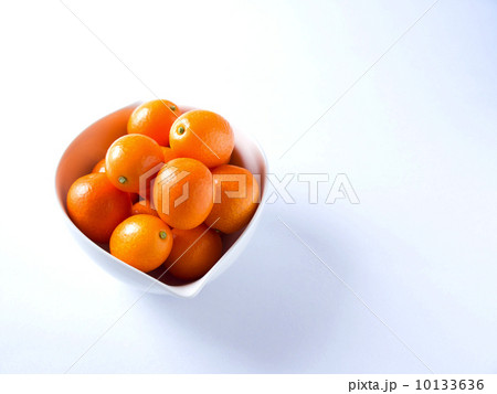 きんかん きんかん 10133636