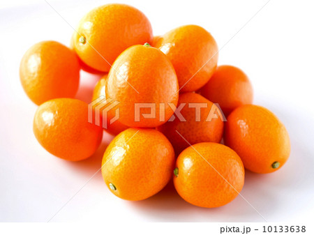 きんかん 10133638