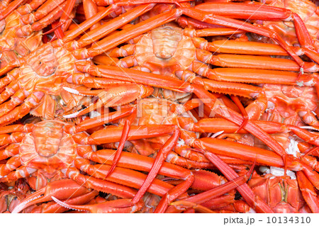 紅ズワイガニ 10134310