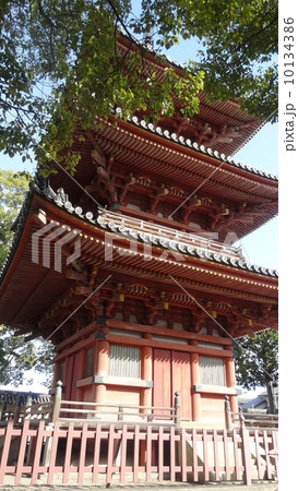 斑鳩寺　三重塔 10134386