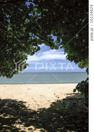 砂浜 砂浜 10134624