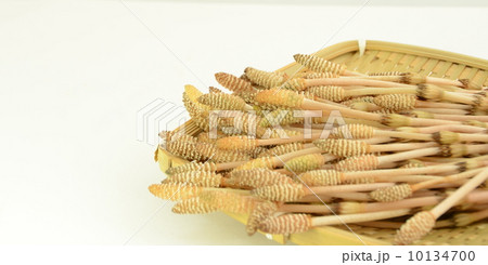 春の味覚、土筆で花粉症対策 春の味覚、土筆で花粉症対策 10134700