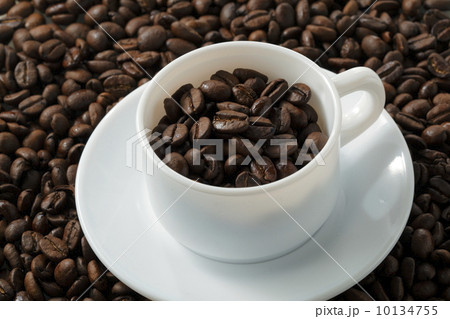 コーヒー豆 コーヒー豆 10134755
