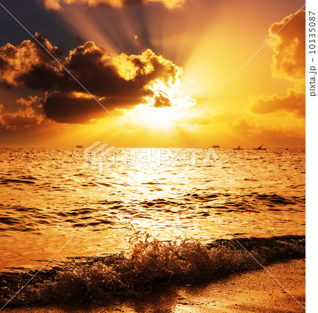 Sea sunset Sea sunset 10135087