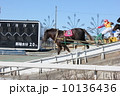 ばんえい競馬 10136436