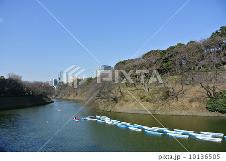 千鳥ヶ淵緑道から旧江戸城土塁・石垣 10136505