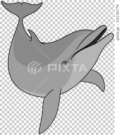 手海豚 10136770