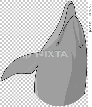 手海豚 手海豚 10136772