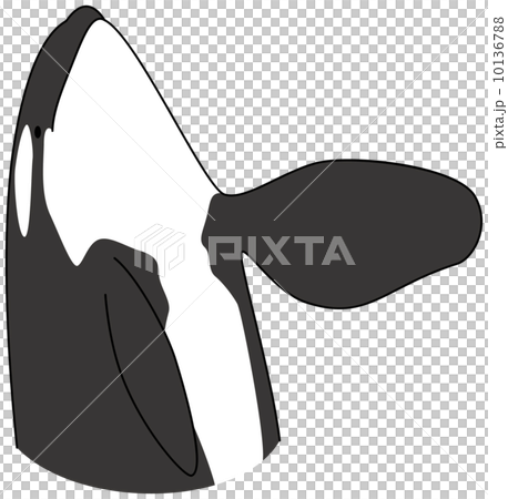 シャチ シャチ 10136788