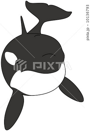 シャチ シャチ 10136793