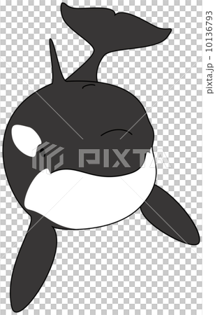 シャチ シャチ 10136793