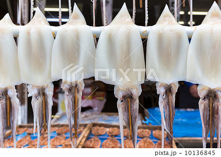 白イカの天日干し 10136845