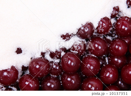 Ripe red cherries and white sugar 10137351