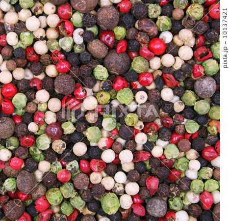 Different kinds of pepper as spice background Different kinds of pepper as spice background 10137421