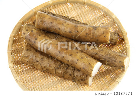 とろろ長芋 とろろ長芋 10137571