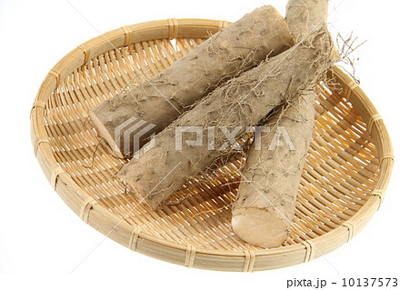 とろろ長芋 10137573