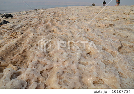 死海 塩の結晶 死海 塩の結晶 10137754