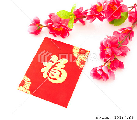 Chinese new year festival Chinese new year festival 10137933