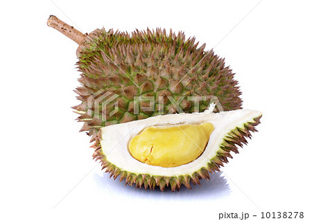 Durian Durian 10138278