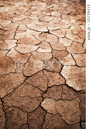 Dry cracked earth 10138413