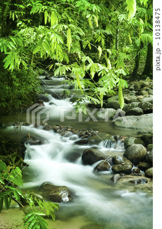 Mountain stream 10138475