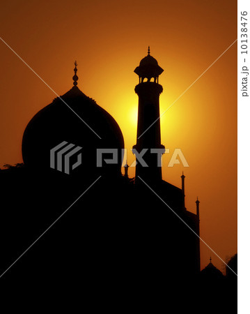 Taj Mahal 10138476