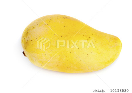 Mango Mango 10138680